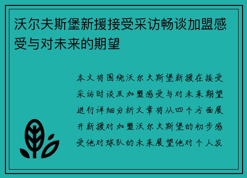 沃尔夫斯堡新援接受采访畅谈加盟感受与对未来的期望