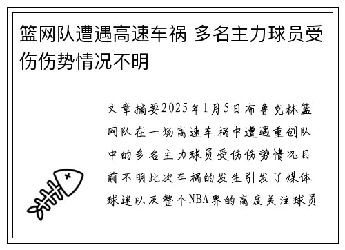 篮网队遭遇高速车祸 多名主力球员受伤伤势情况不明