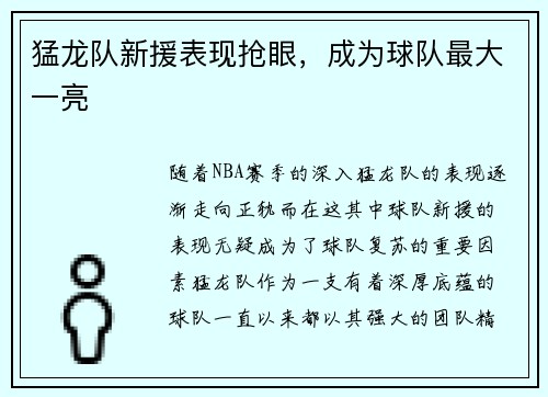 猛龙队新援表现抢眼，成为球队最大一亮